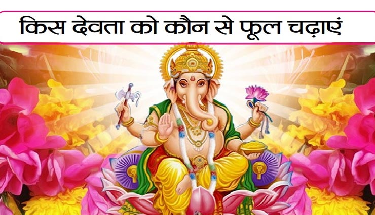 देवताओं को उनके पसंदीदा फूल चढ़ाकर करें प्रसन्न, जानें इसके बारे में
