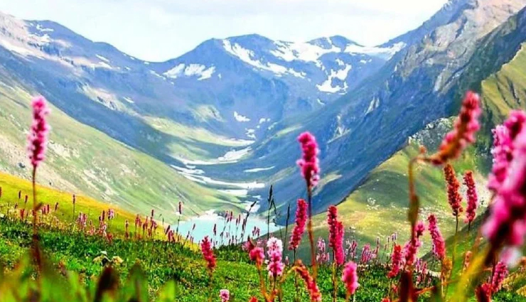 best gardens of the country attract tourists,holidays,travel,tourism