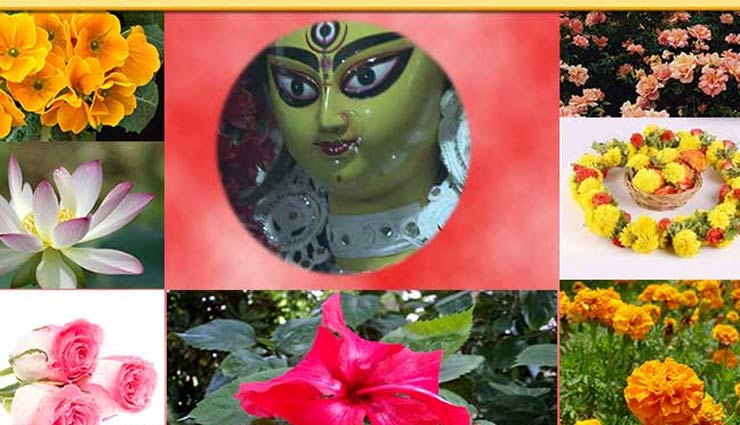 navratri 2019,navratra sthapna,maa durga,flowers offered  to matarani,zodiac sign,sun sign,second day of navratra,astrology astrology tips