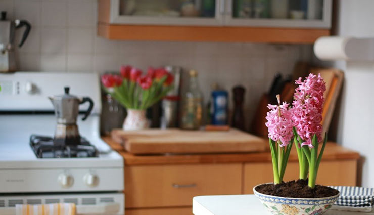 इन फूलों की मदद से खत्म होगी वैवाहिक जीवन की बोरिंग लाइफ, जागेगा रोमांस