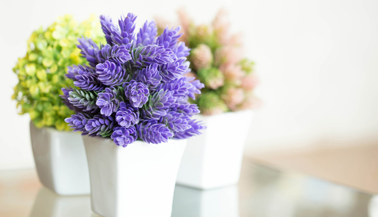 house decoration,flower for house decoration,decoration tips