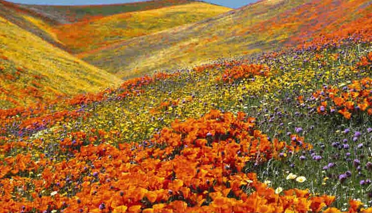 badrinath,badrinath tourism,badrinath travel,badrinath holidays,places to visit in badrinath,uttarakhand,uttarakhand tourism,uttarakhand travel,holidays,travel guide