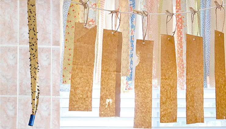 irritated with houseflies try these natural tips