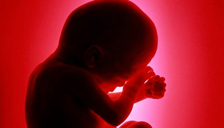 Bombay High Court allows abortion in 30th week as foetus found to have birth defect