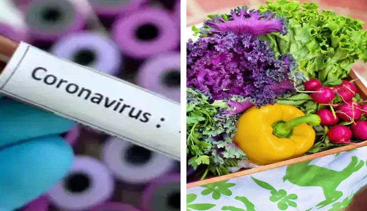 इस तरह रखें अपनी डाइट, कोरोना से लड़ने में मिलेगी मदद
