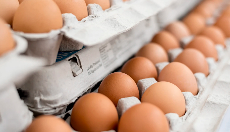 food for healthy hair,hair care tips,beauty tips,healthy food