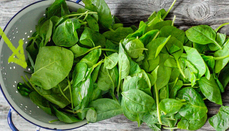 food for healthy hair,hair care tips,beauty tips,healthy food