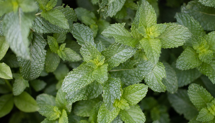 hair,hair care tips,healthy foods for hair,beauty tips