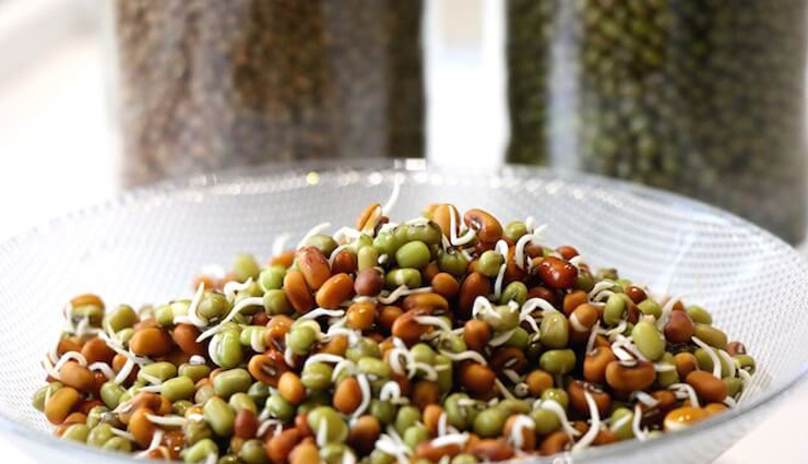 green vegetable,citrus fruits,omega-3 fatty acids,vitamin a rich foods,vitamin e,proteins and minerals,sprouts,cottage cheese,Oats,soya bean,best foods for healthy hair,hair care tips,beauty tips,summer tips