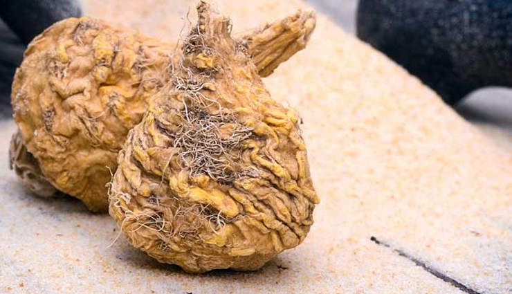 coconut,cacao,flax seeds,moringa,maca,helathy food,food to balance hormones,Health tips,fitness tips,summer tips