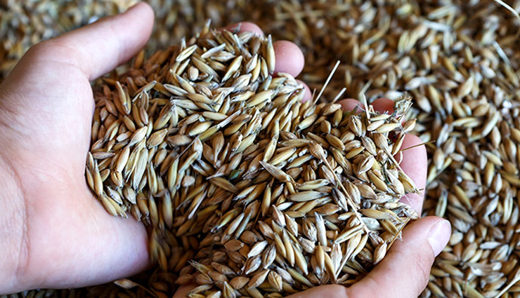 world malaria day,food to boost immunity,immunity tips,Health tips,fitness tips