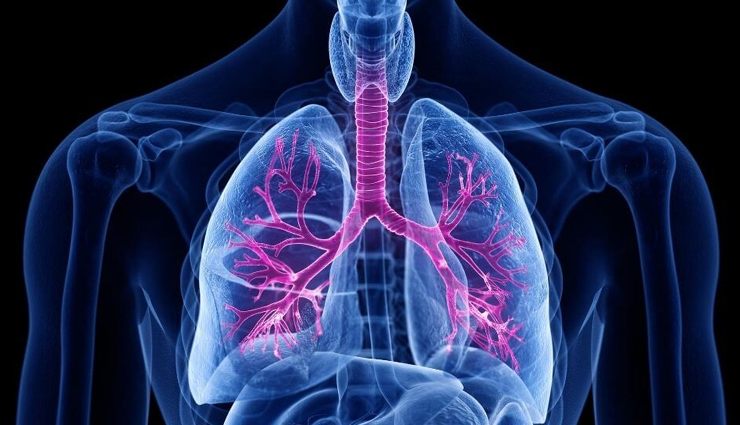 Lung cancer के जोखिम को कम करते है ये 5 सुपरफूड, फेफड़ों में भरी गंदगी-कफ को निकाल फेंकते है बाहर