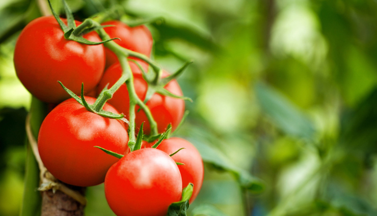 Beans,pumpkin seeds,broccoli,milk,eggs,carrots,tomatoes,bananas,healthy food,food for nails,nails care tips,beauty tips,skin care tips