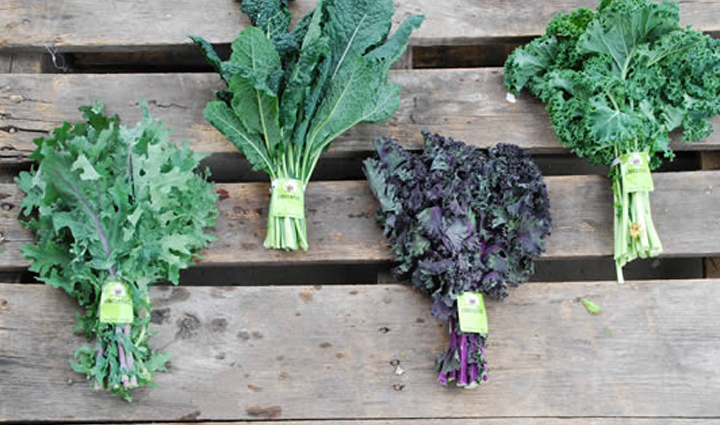 apples,brazil nuts,celery,avocado,kale,food to protect skin,food for glowing skin,skin care tips,beauty tips,summer beauty tips