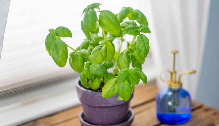 home remedies for food poisoning,Health tips,fitness tips