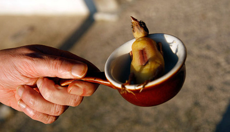 इन जगहों पर इन चीजों को खाना खिला सकता है आपको जेल कि हवा