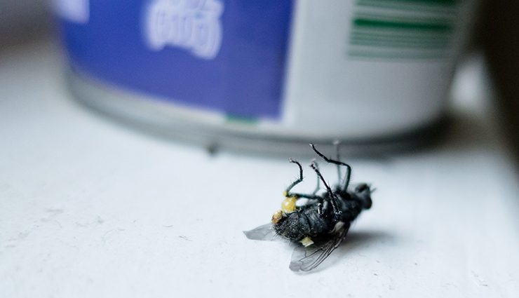 risky foods,foods to avoid while traveling,traveling tips