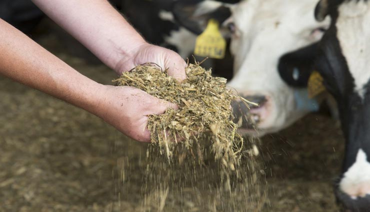 astrology tips,astrology tips in hindi,astrology measures,buying your own house