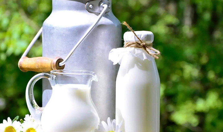 processed foods you can include in your diet,Health,healthy living