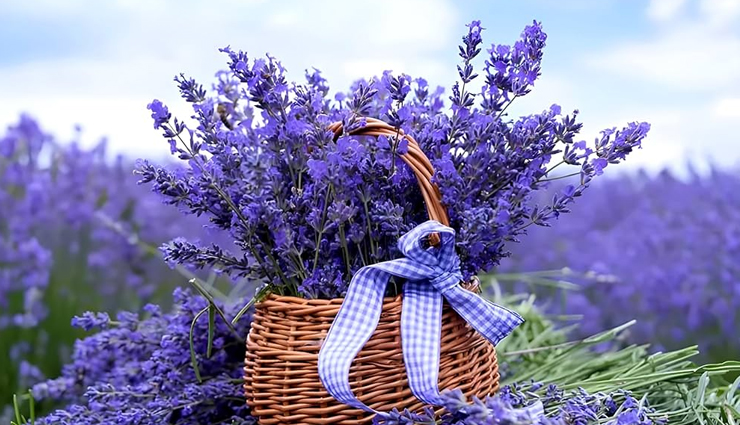 diy foot soaks,foot soaks for tired feet,homemade foot soak recipes,natural foot soaks,diy remedies for sore feet,foot soak for relaxation,epsom salt foot soak,baking soda foot soak,vinegar foot soak for feet,herbal foot soak,soothing foot soaks,foot care home remedies,refreshing foot soaks,foot soak for pain relief,detox foot soak at home