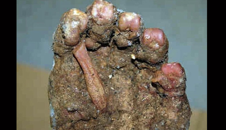 mysteries cases about oceans,unsloved cases of ocean,unsloved mysteries of ocean,facts about sea. facts about ocean