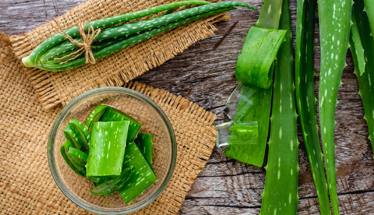 aloe vera,yogurt,egg olive oil and honey,amla,onion juice,effective remedies to grow hair on forehead,hair on forehead,hair care tips,beauty tips,summer tips