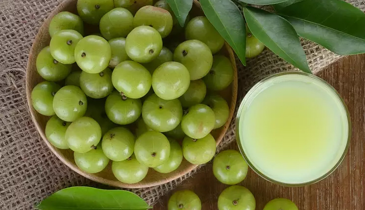 aloe vera,yogurt,egg olive oil and honey,amla,onion juice,effective remedies to grow hair on forehead,hair on forehead,hair care tips,beauty tips,summer tips