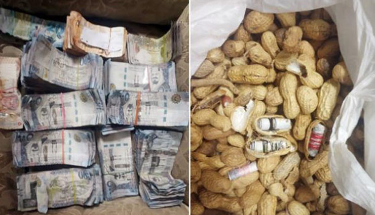 delhi airport,foreign currency,peanuts,weird news