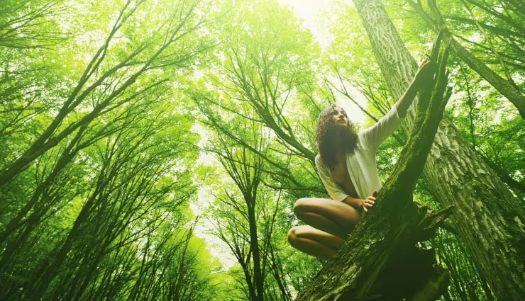 japanese healthy habits,morning habits from japan,forest bathing benefits,mugicha tea health benefits,japanese taiso exercise,ganbanyoku hot stone bath,healthy morning routines,okara breakfast benefits,japanese longevity secrets,japanese wellness tips