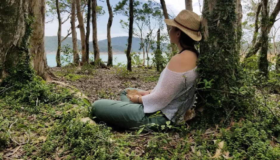 कैंसर से दूरी बनाने का जापानी मंत्र: ‘फॉरेस्ट बाथिंग’, जानिए कैसे प्रकृति बनती है शरीर की ढाल
