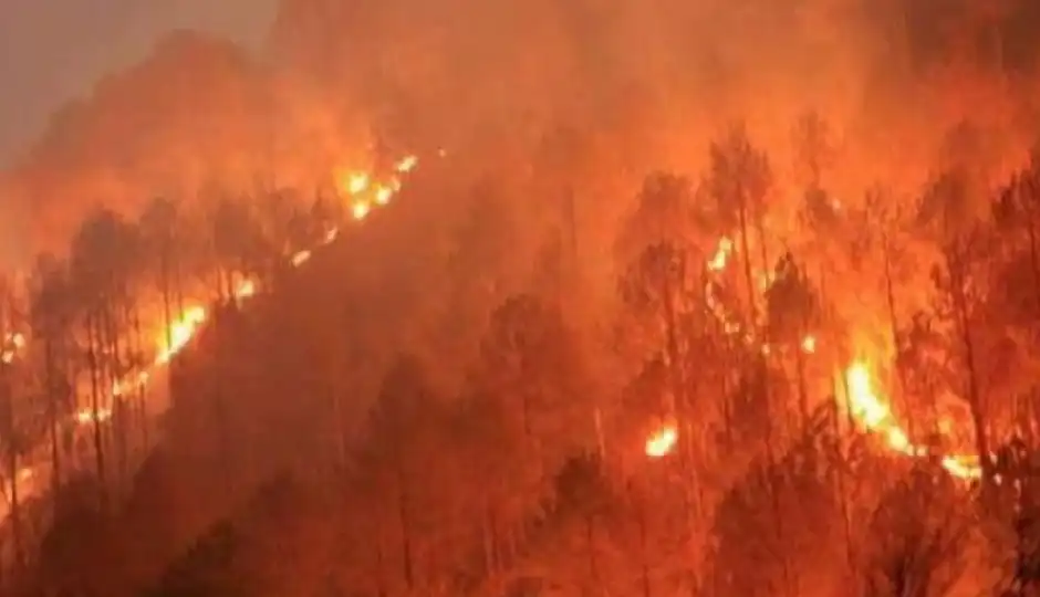 himachal forest fire,uttarakhand wildfire,solan kandaghat fire,kyari ghat fire,forest fire news india,wildfire in himalayas,forest smoke video,uttarakhand forest burning,oak forest fire,climate change forest fire,himachal pradesh news,forest fire update india