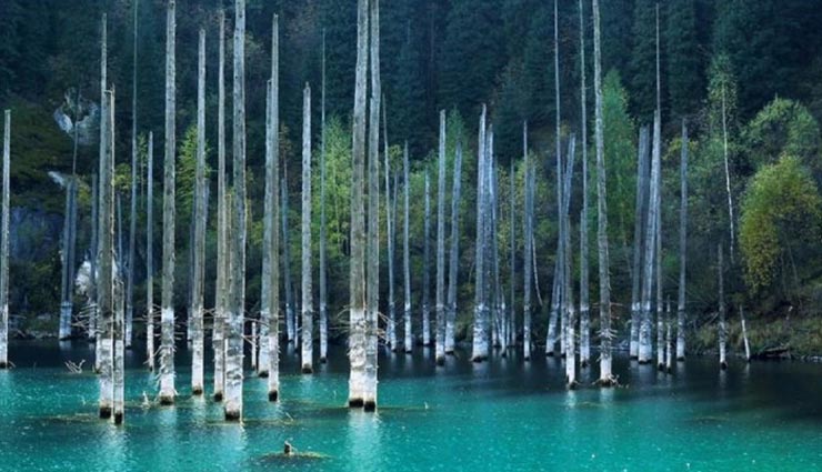 इस अजीबोगरीब झील में पानी के अंदर बसा है पूरा जंगल