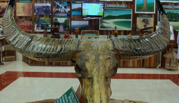 port blair,tourist spots in port blair,port blair travel,port blair tourism,andaman nicobar island,holidays,travel guide,travel tips