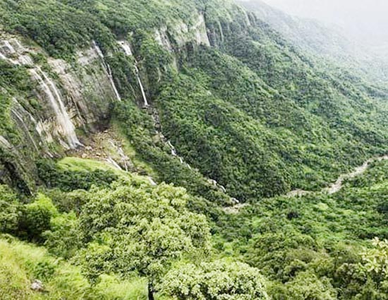 Love Nature? Then You Must Visit These 5 Forests