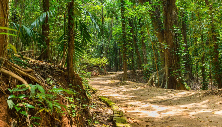 sri lanka,kandy sri lanka,sri lanka tourism,tourist places in sri lanka,travel,holidays