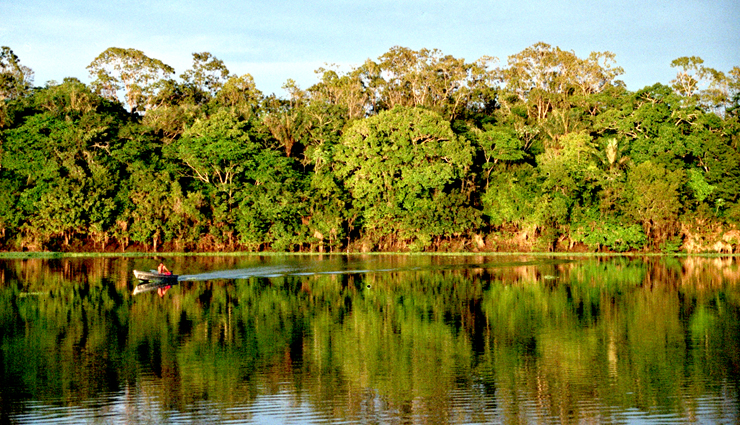largest forests,largest forests in the world,amazon rainforest,south america,kinabalu national park,asia,daintree forest,australia,valdivian temperate rainforest,south america,congo rainforest,africa,rainforest of xishuangbanna