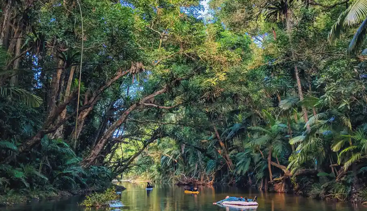 largest forests,largest forests in the world,amazon rainforest,south america,kinabalu national park,asia,daintree forest,australia,valdivian temperate rainforest,south america,congo rainforest,africa,rainforest of xishuangbanna