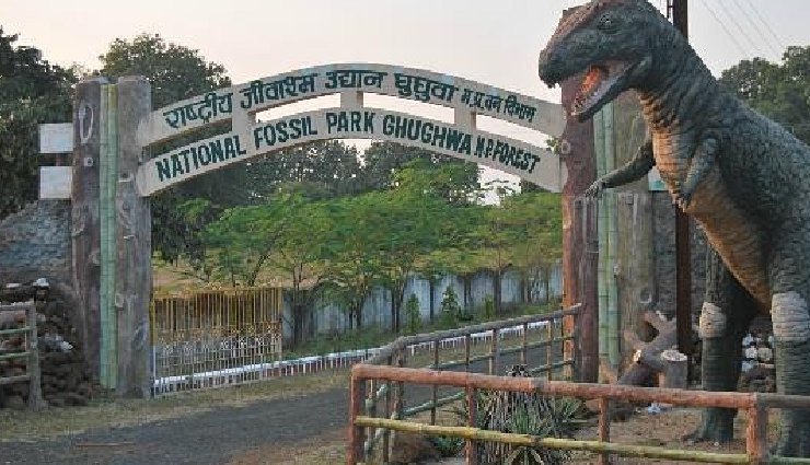 bandhavgarh national park,places to visit near bandhavgarh,bandhavgarh attractions,nearby tourist spots,jabalpur marble rocks,dhuandhar falls,fossil national park ghughua,baghel museum,bamera dam,bandhavgarh fort,mahaman pond,shesh shaiya,tala village,bhimbetka rock shelters,madhya pradesh travel