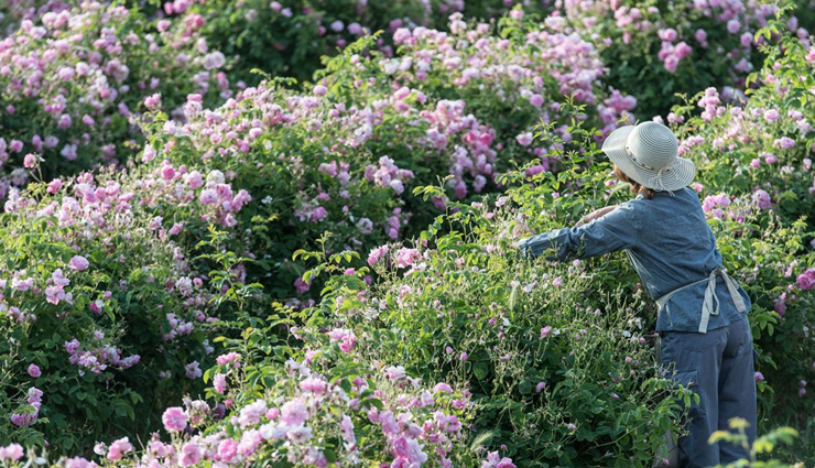 travel,travel guide,travel tips,holidays,travel experience,holidays