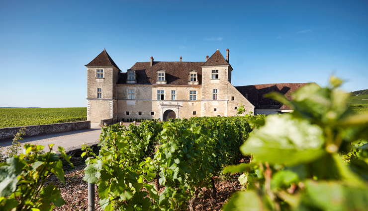 wineries,wineries in france,france,must visit wineries,chateau de lengarran,cos destournel,maison ruinart,champagne,chateau de vaults,chateau du clos de vougeot,the chateau sainte-roseline