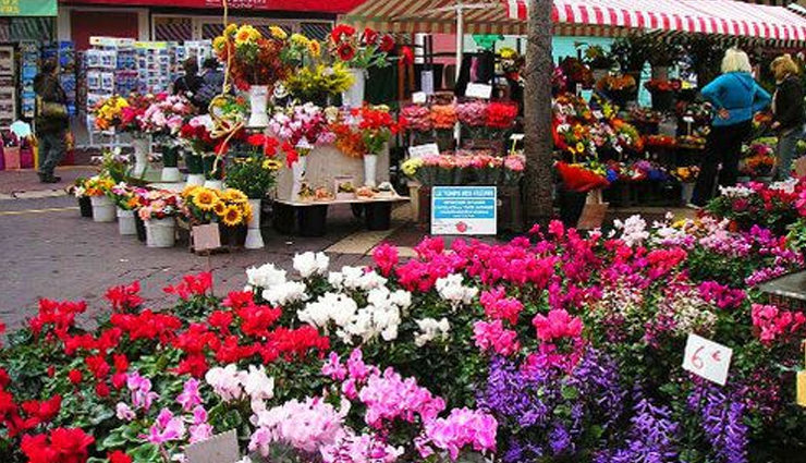 attractions you can visit in france,major attractions of france,france tourist places,tourism,holidays,travel