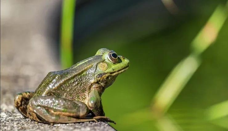 weird news,weird information,interesting facts