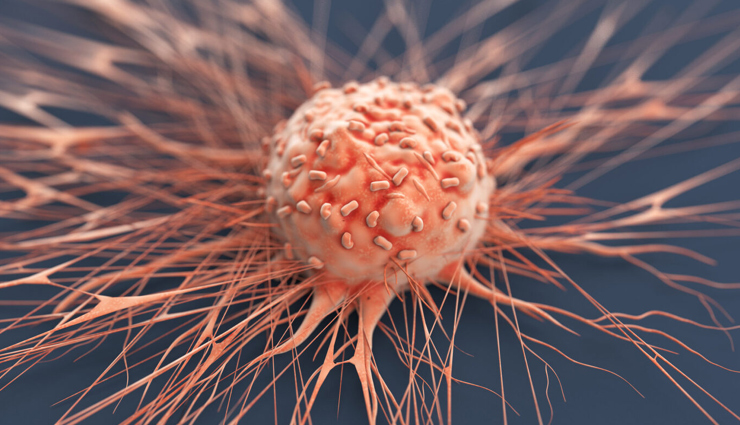 most amazing health benefits of dragon fruit,Health,healthy living