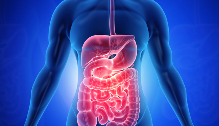 most amazing health benefits of dragon fruit,Health,healthy living