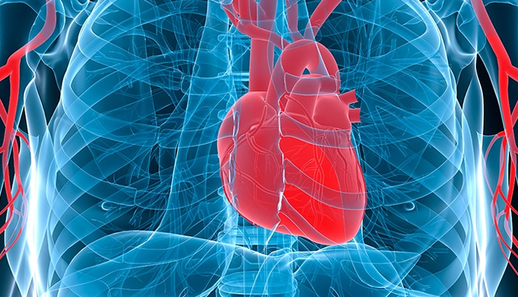 most amazing health benefits of dragon fruit,Health,healthy living