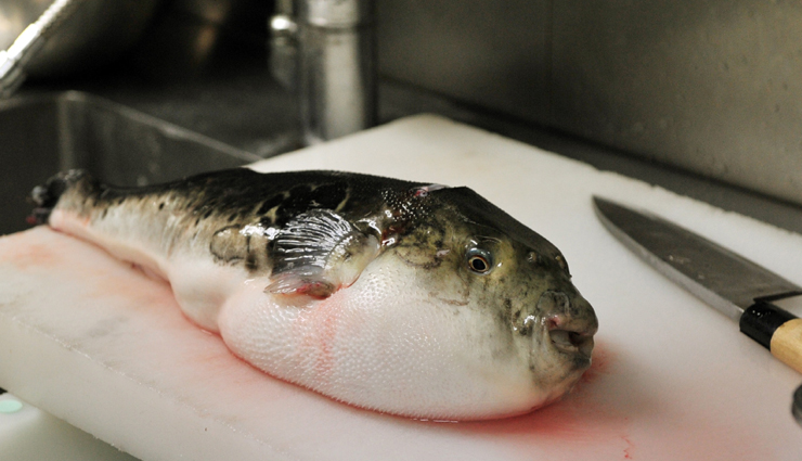 weird foods,werid food people eat,travel,travel tips