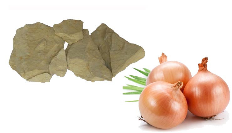 beauty tips,home made onion face packs,onion face packs,face packs,face packs for glowing skin,skin care tips,homemade onion facial packs