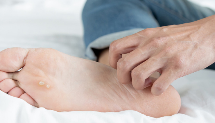 star anise,health benefits of star anise,amazing health benefits of star anise,star anise health benefits,Health,Health tips,health benefits