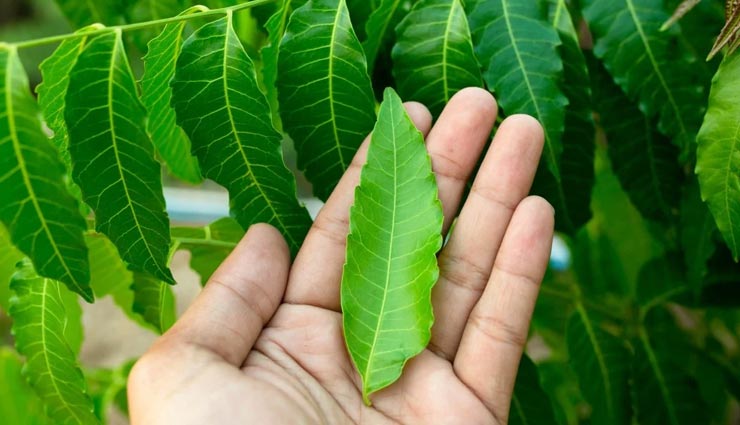 fungal infection,home remedies for fungal infection,skin care tips,beauty tips