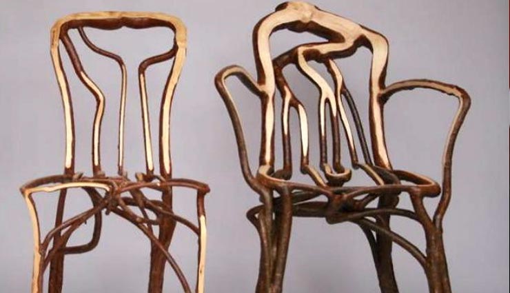 gavin munro,alice munro,furniture,tree,weird news in hindi